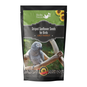 BirdsNature Imported Large Size Sunflower Seeds for African Grey Parrot and Exotic Birds