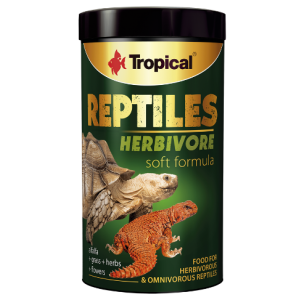 Tropical Reptiles Herbivore Soft...