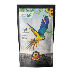 BirdsNature Imported Large Size Sunflower Seeds for Macaw Parrot and Exotic Birds