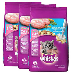 Whiskas Kitten (2-12 Months) Dry Cat Food, Ocean Fish & milk 1.1kg Pack of 3