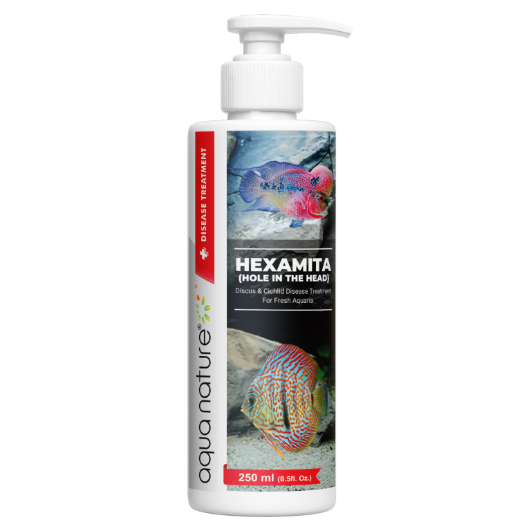 AquaNature Hexamita Hole In The Head Discus & Cichlid Disease Treament