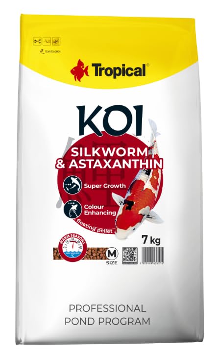 Tropical Koi Silkworm &...