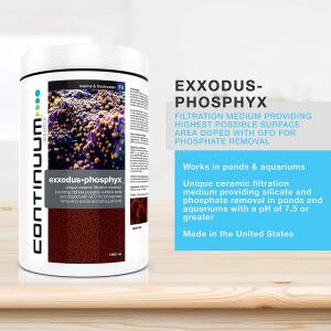 Continuum Exxodus Phosphyx Cube...