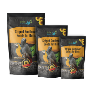BirdsNature Imported Large Size Sunflower Seeds for Grey Parrot,Indian Parrot, Macaw,Cockatoo and Exotic Birds