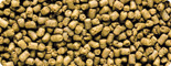 Hikari Marine Carnivore Medium pellets Fish Food 40g-Code-43507