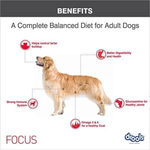 Drools Focus Adult Super Dog Food