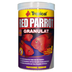 Tropical Red Parrot Fish Food...