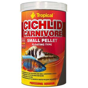 Tropical Cichlid Carnivore Small...