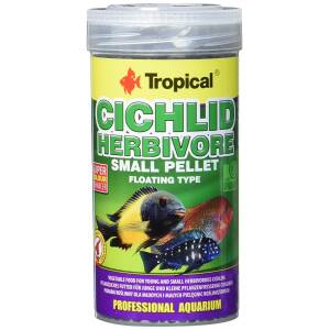 Tropical Cichlid Herbivore Small...
