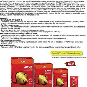 Ocean Free AR-G2 Pro Arowana Intense Colour Aquarium Fish Food, 250 g