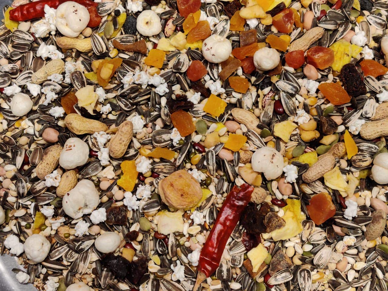 f3_1 | seed Parrot food seed Parrot food