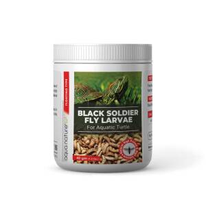 AquaNature High Protein Dried Black Soldier Fly Larvae Food for Aquatic Turtle