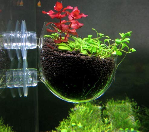 AquaNature Aquarium Fish Tank...