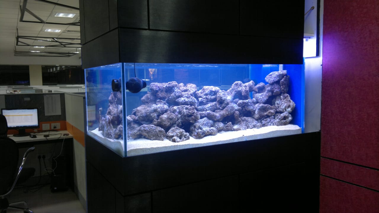 Aquanature blue light aquarium
