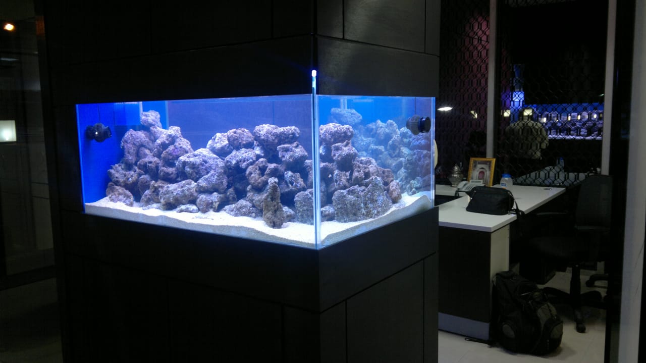 Aquanature stone aquarium