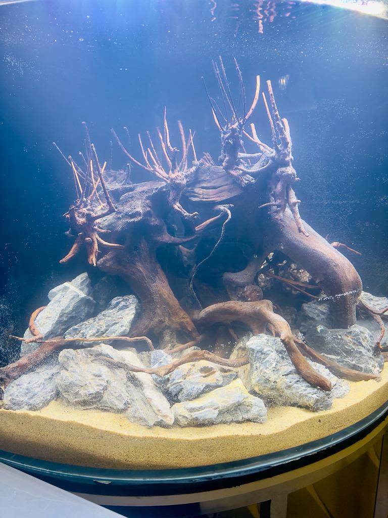 Aquanature tabel wood aquarium