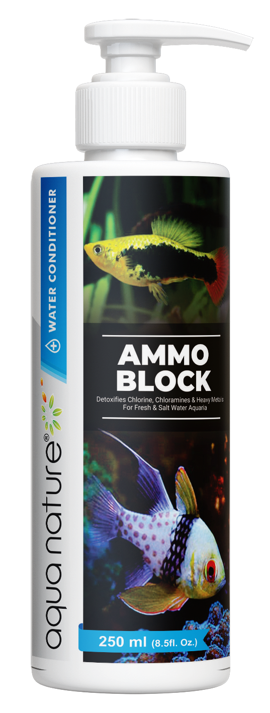 Ammo Block - 250 - 1