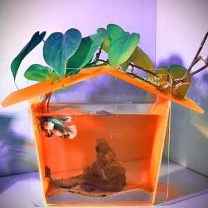 AquaNature Beautiful Neon Acrylic Betta Fish Tank,Aquarium Fish Tank Mini Desktop Fish Tank Office Ecology Aquarium Fish Tank