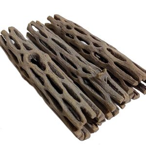 AquaNature Aquatics Premium NaturView affected tal Cholla Wood for Aquarium Decoration, Hermit Crabs, Shrimp -Dried Cactus Branches – Natural Hollow Decorations – Fish Tank/Terrarium Decor 5”-6”(Pack of 3)