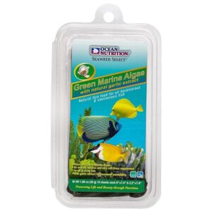 OCEAN NUTRITION (SALT CREEK)...