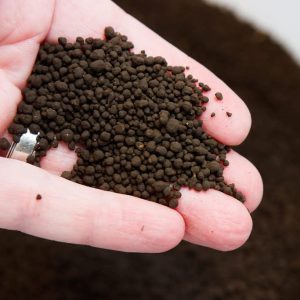 ADA Aqua Soil Amazonia Ver.2 3L