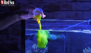 Red Sea Reef Energy Plus All-in-One...