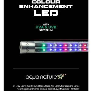 AquaNature Submersible Colour Enhancement Led Light with UVA + UVB Spectrum for All Tropical Fish