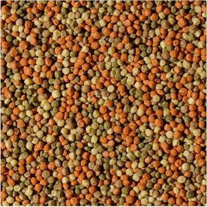 Tropical Pond Pellet Mix Size M Floating Pellet for Koi, Goldfish and Other Ornamental Cyprinids Kept in Ponds
