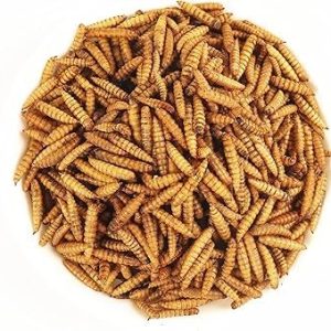 AquaNature Whole Dried Black Soldier Fly Larvae Treat – Food for Fish, bird, turtles & Chciken Feed 1kg