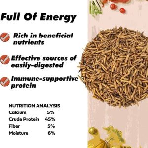 AquaNature Whole Dried Black Soldier Fly Larvae Treat – Food for Fish, bird, turtles & Chciken Feed 1kg