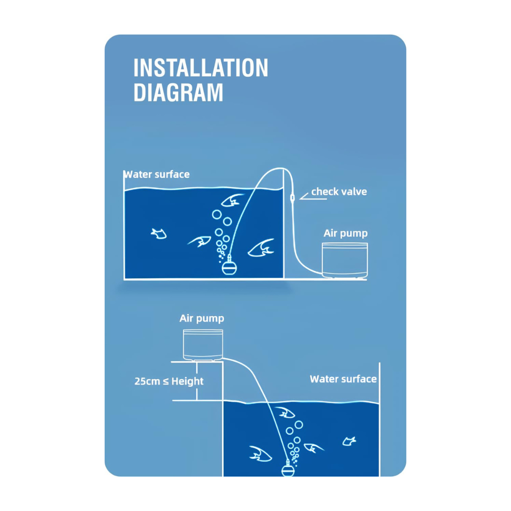 Untitled design - 2024-12-21T172652.670