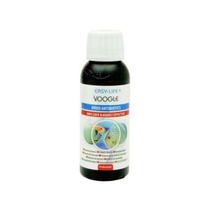 Easy Life Voogle Helps to Prevent...