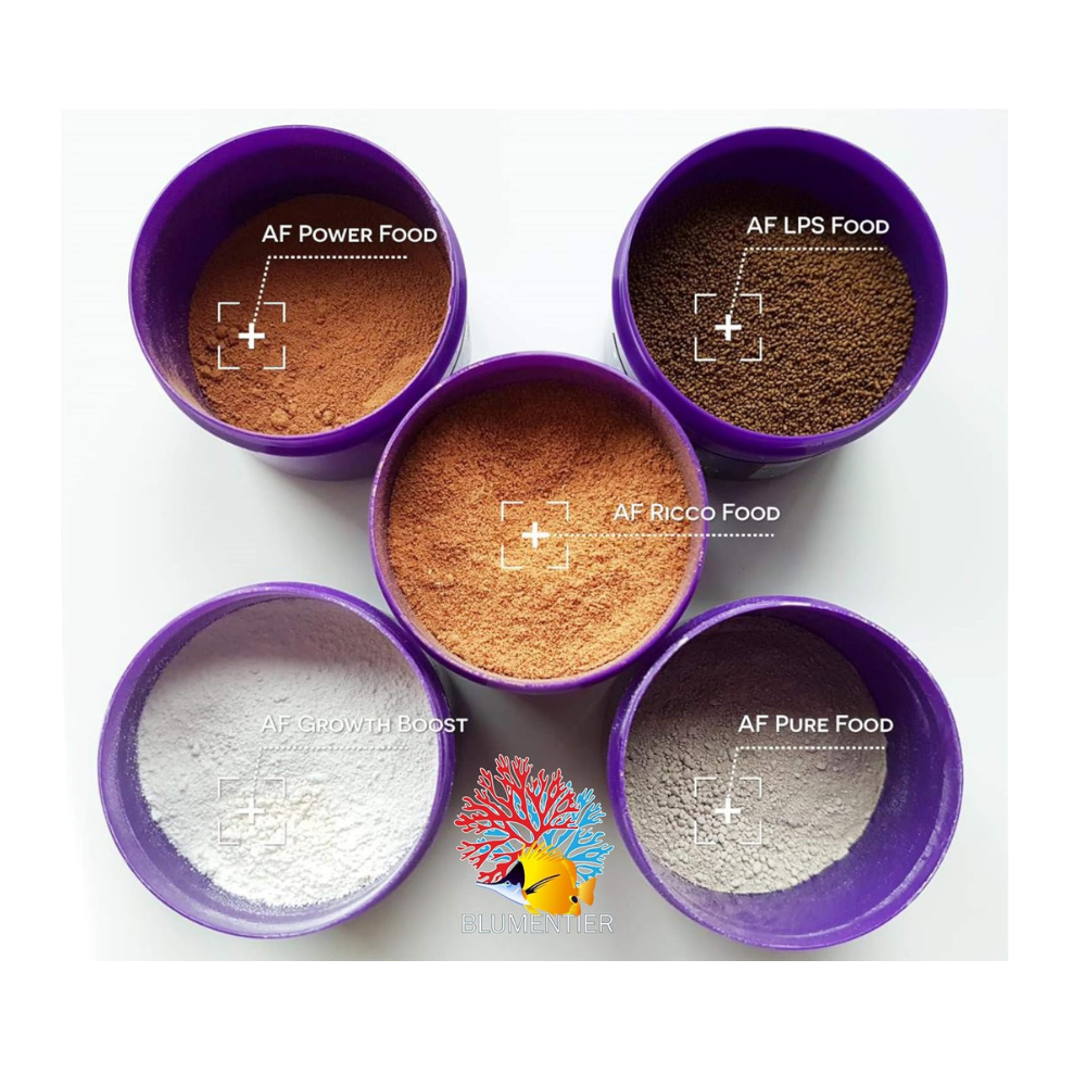 Untitled design - 2025-02-08T181752.575