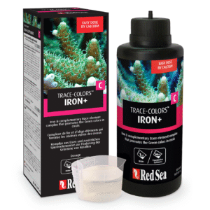 Red Sea Color C