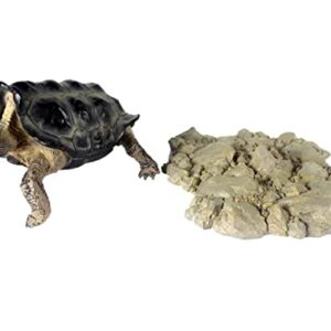 NomoyPet Resin Turtle Shape Decoration Toy for Terrarium (A8-Galapacos (18.5 * 8.5 * 10cm))