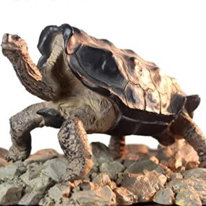 NomoyPet Resin Turtle Shape Decoration Toy for Terrarium (A8-Galapacos (18.5 * 8.5 * 10cm))