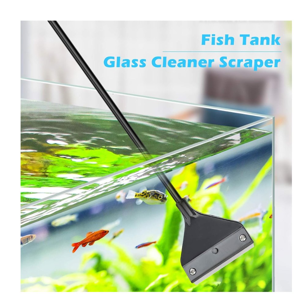 Aquarium Scraper for Glass: Ultimate Guide to Sparkling Clean Tanks