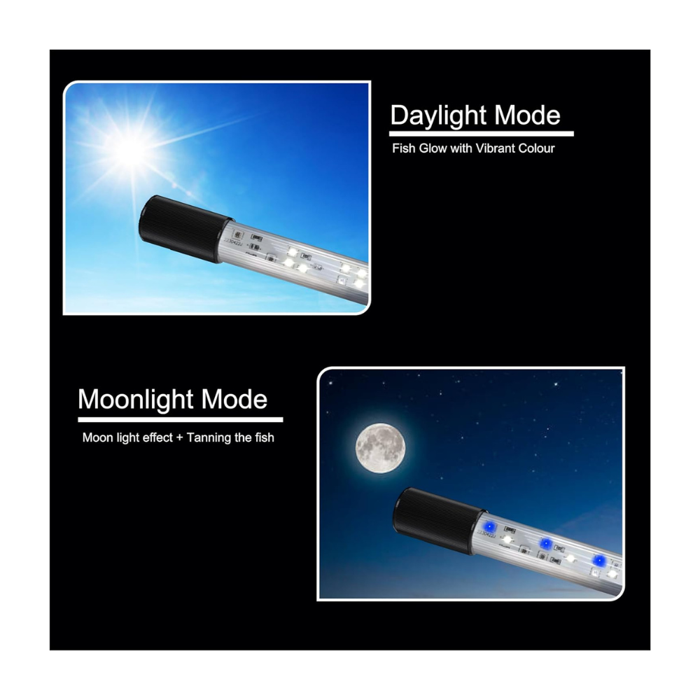 Untitled design - 2025-08-08T174818.741