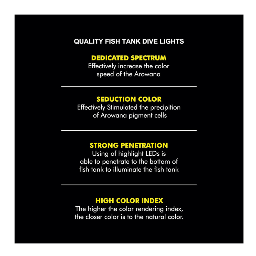 Untitled design - 2025-08-08T174854.611