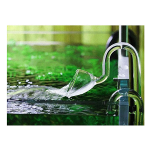 AquaNature® Aquarium Outlet Glass Lilly Pipe for Planted Aquarium
