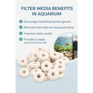 AquaNature® 3DM Circle Aquarium...